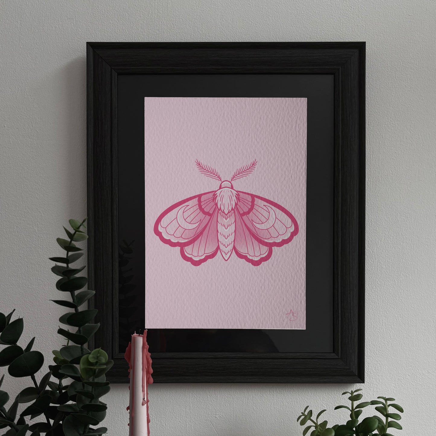 PINK MOTH PRINT