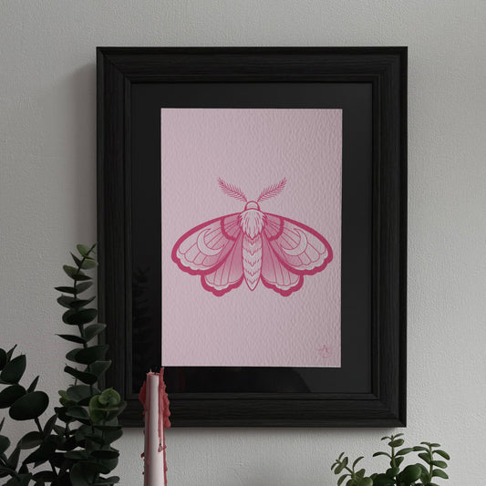 PINK MOTH PRINT